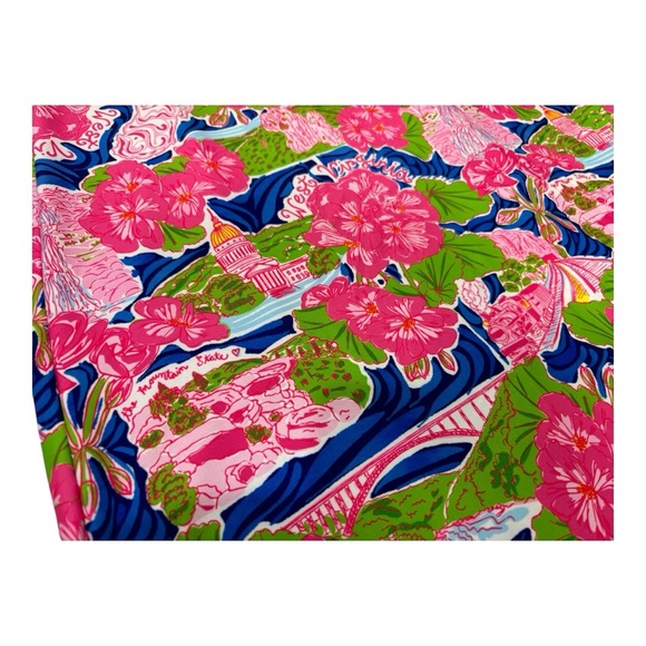 Vibrant Kaeli Smith West Virginia Pink and Blue Patterned Dress - Picture 7 of 10